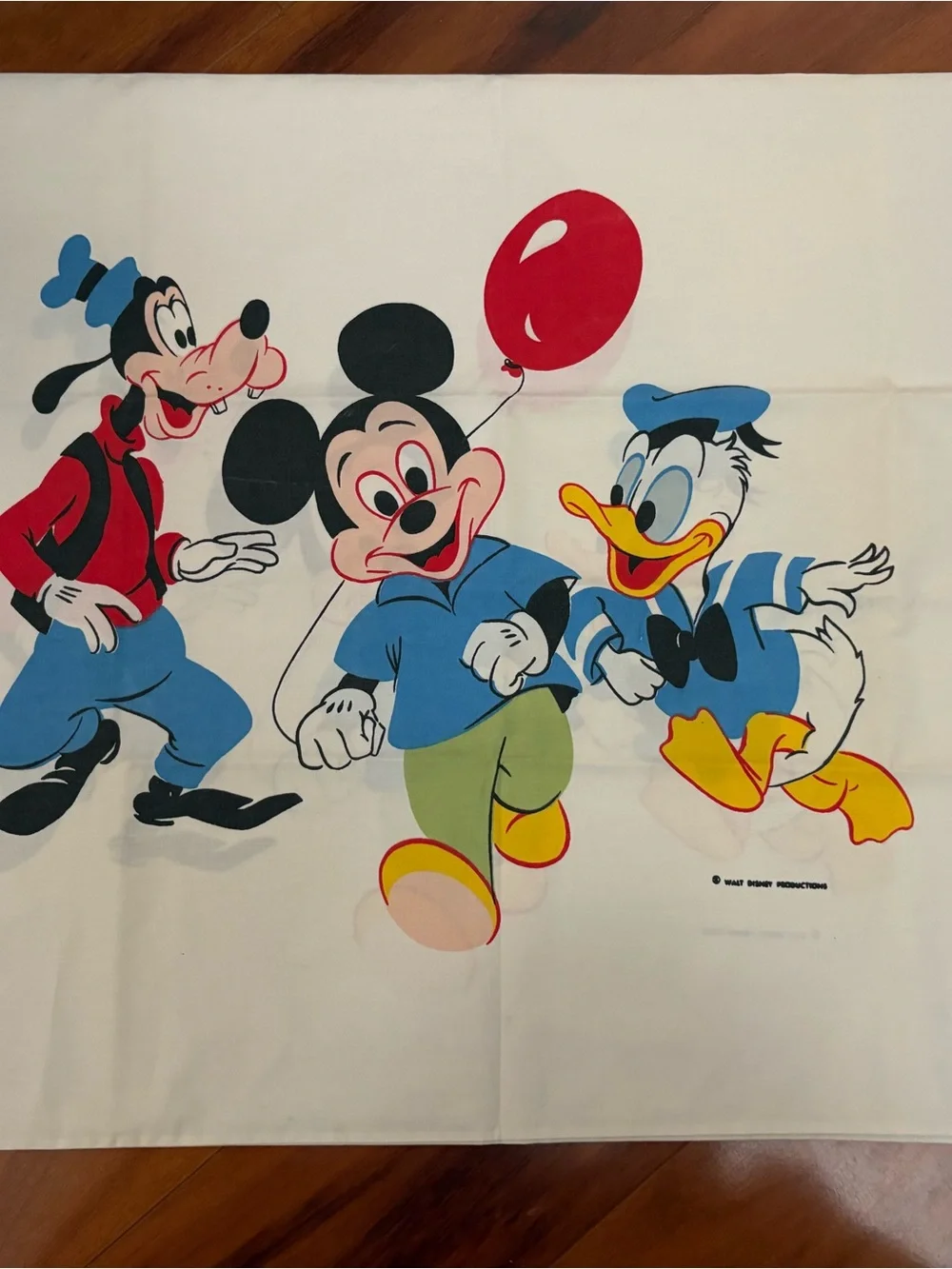 Vintage Disney pillowcases set of 2